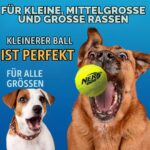 Nerf Dog Тенис топка за кучета с бластер, до 15 м, синьо - Image 6