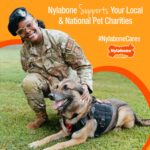 Interpet Nylabone Dura Chew - Кост за дъвчене, говеждо, голяма - Image 10