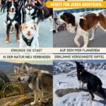 Nomadog Trailblazer нагръдник за кучета с дръжка - Image 5