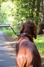 dobar® 62000 Walky Dog Plus велосипеден повод за кучета с дистанционер 37,5 см, сребрист - Image 3