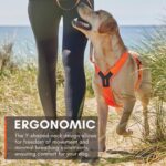 Non-stop dogwear Line 5.0 нагръдник - Image 6