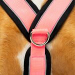 candyPet светлоотразителен Y-образен нагръдник - Image 8