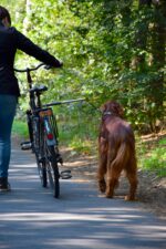 dobar® 62000 Walky Dog Plus велосипеден повод за кучета с дистанционер 37,5 см, сребрист - Image 4