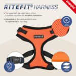 Puppia Ritefit регулируем нагръдник - Image 5