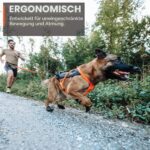 Non-stop dogwear Freemotion 5.0 теглещ нагръдник за кучета, черен/оранжев, размер 3 - Image 4