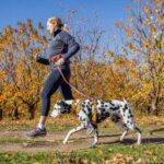 Kurgo Journey Air нагръдник със светлоотразителни елементи - Image 5